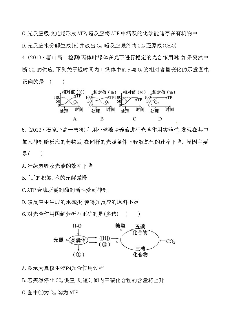新人教版高中生物必修一课时提升卷(十七)  第5章  第4节 二 第1课时02