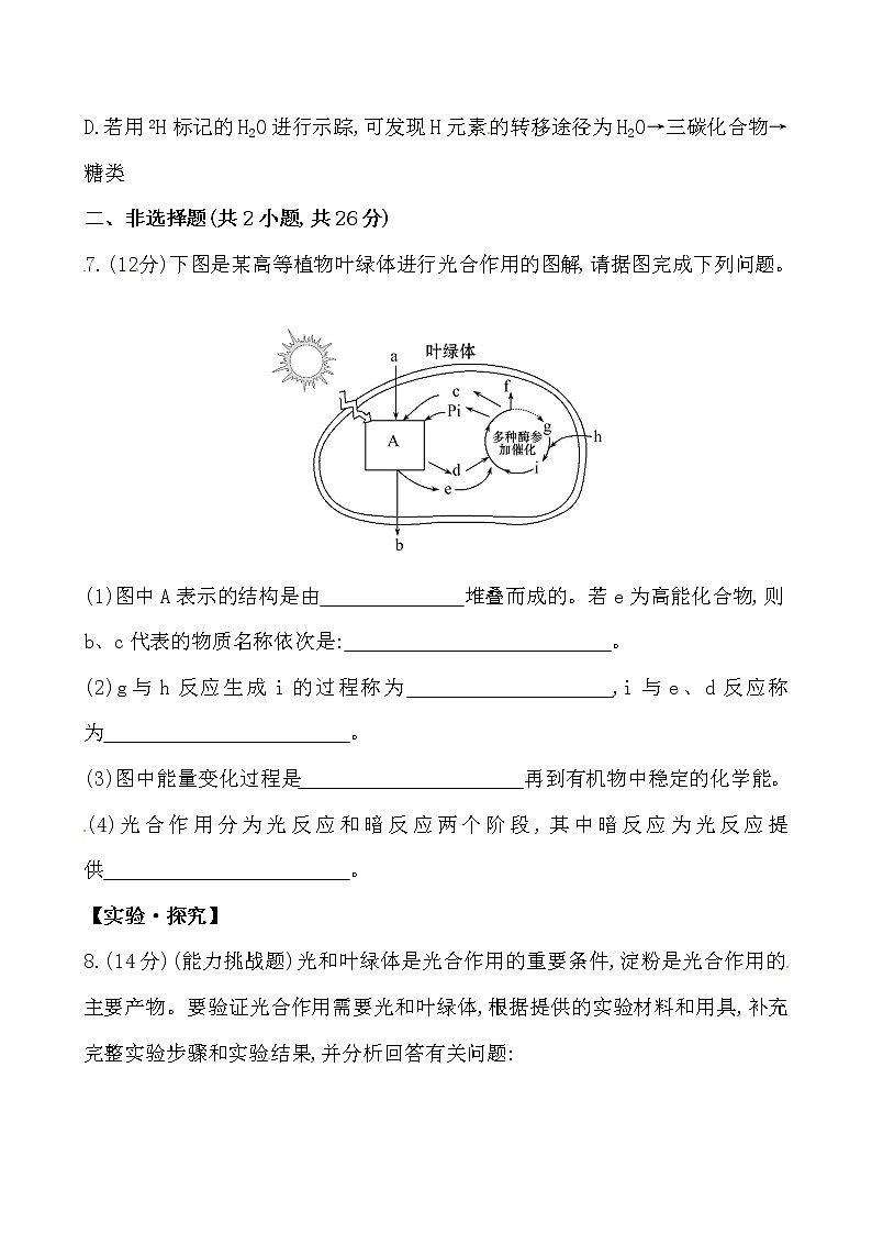 新人教版高中生物必修一课时提升卷(十七)  第5章  第4节 二 第1课时03
