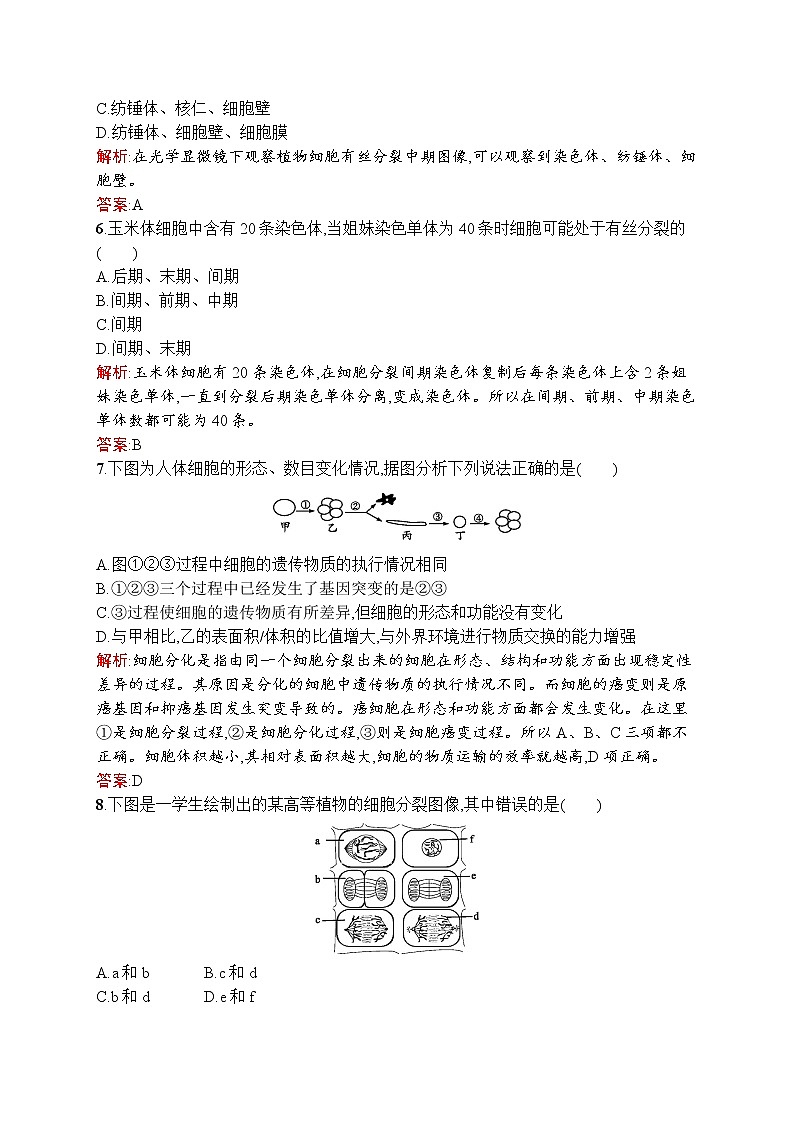生物人教版必修1练习：第6章 细胞的生命历程 测评 word版含解析02