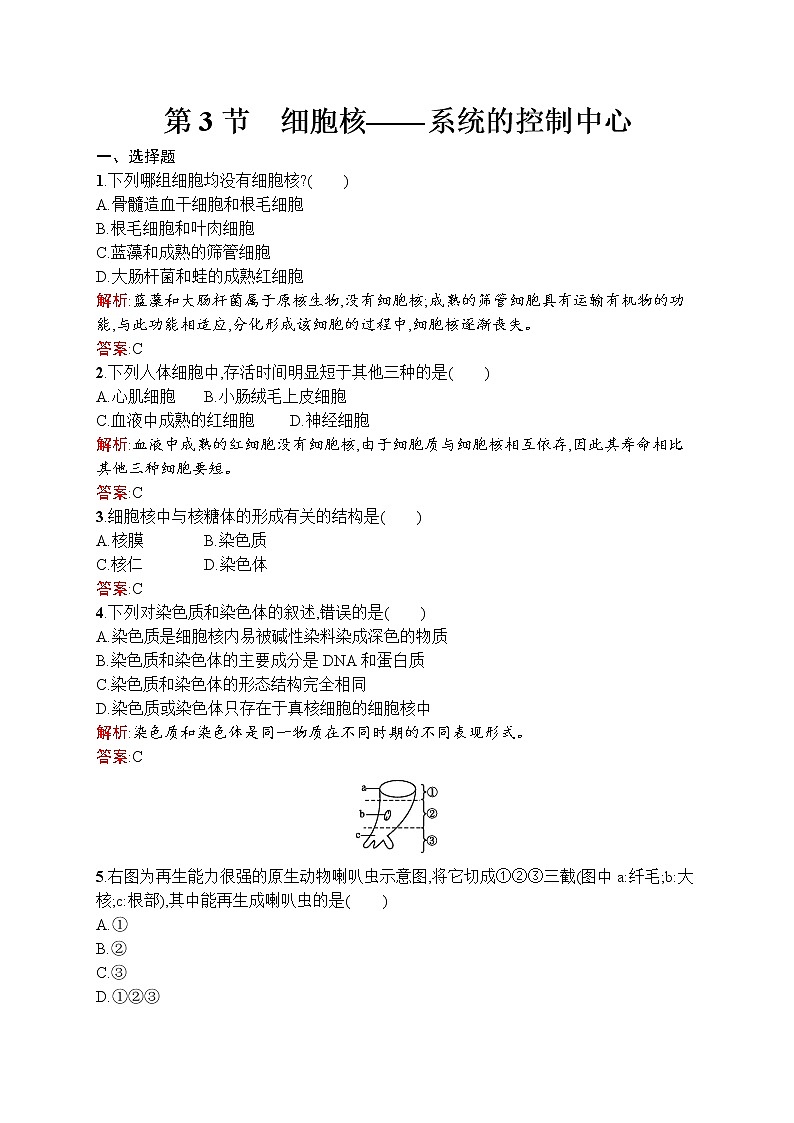 生物人教版必修1练习：3.3 细胞核——系统的控制中心 word版含解析01