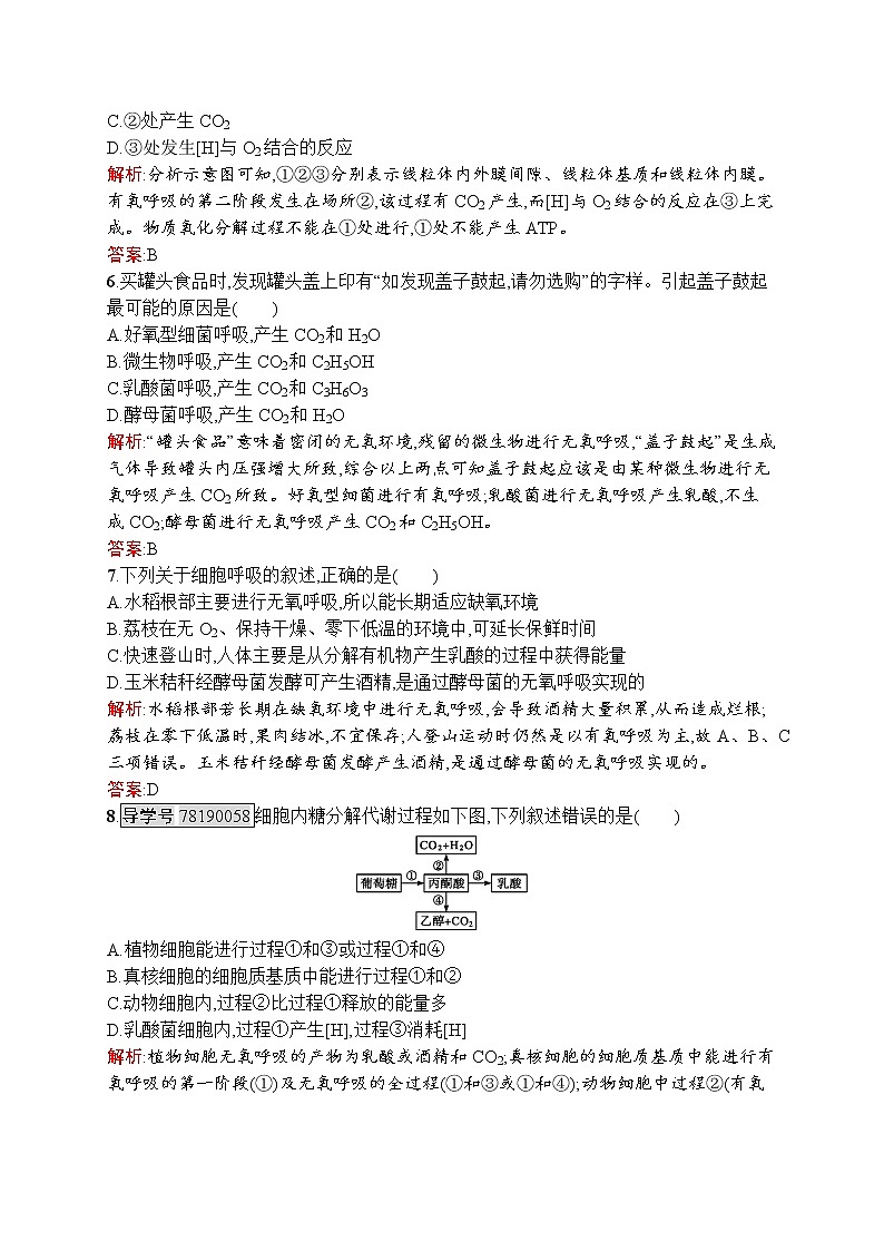 生物人教版必修1练习：5.3 atp的主要来源——细胞呼吸 word版含解析02