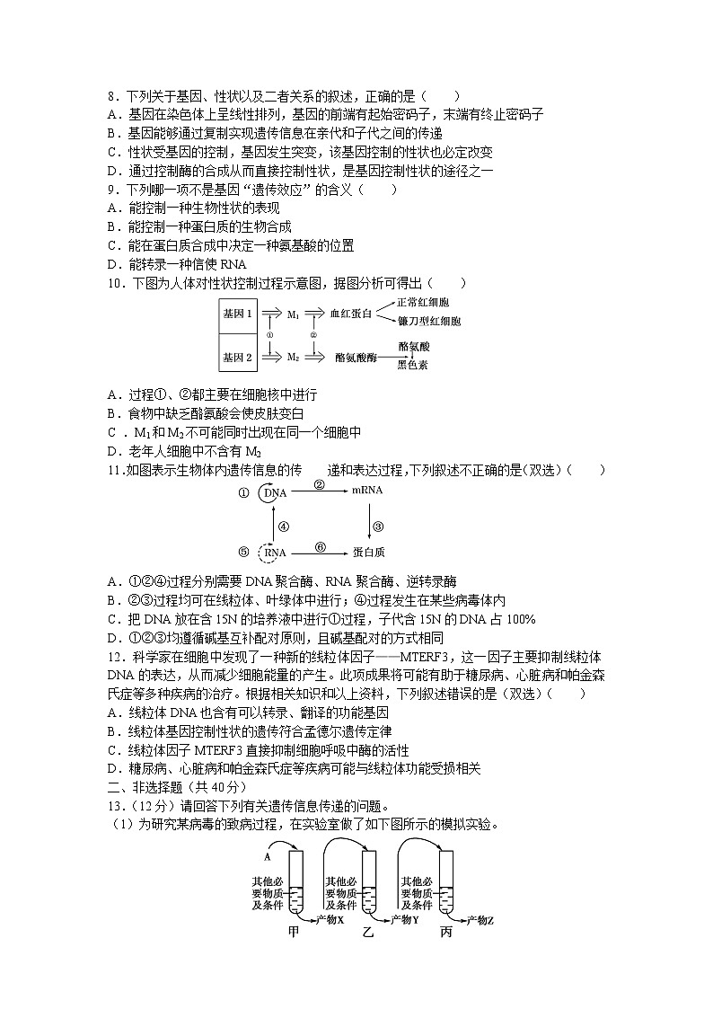 《基因对性状的控制》单元测试题02
