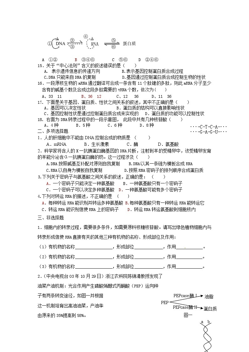 新人教版高中生物必修2第4章《基因的表达》(单元)word同步测试一02