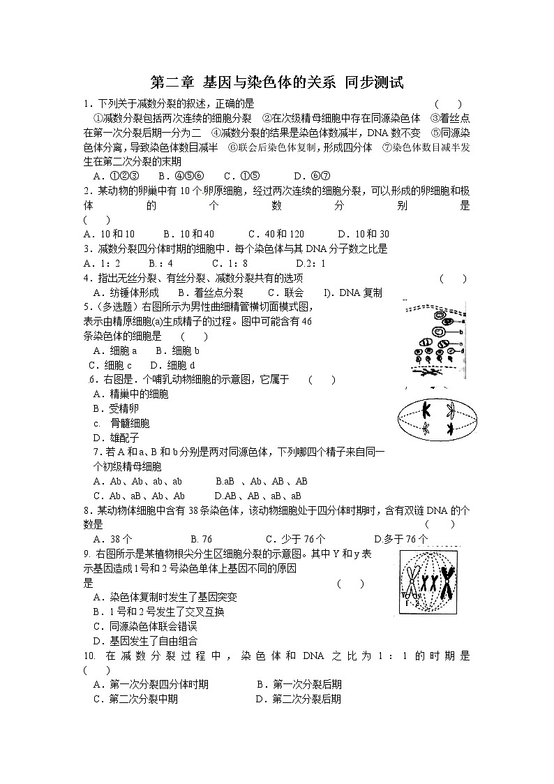 新人教版高中生物必修2第2章《基因和染色体的关系》(单元)word同步测试一01