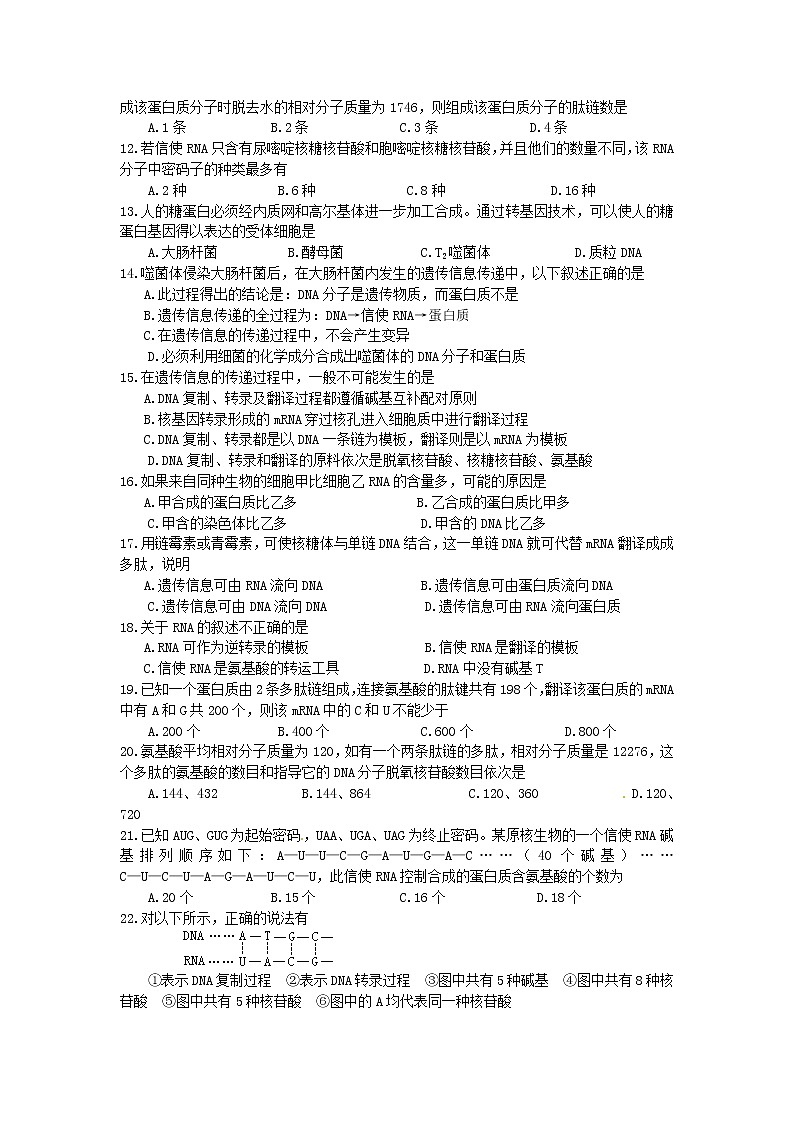 新人教版高中生物必修2第4章《基因的表达》(单元)word同步测试二02