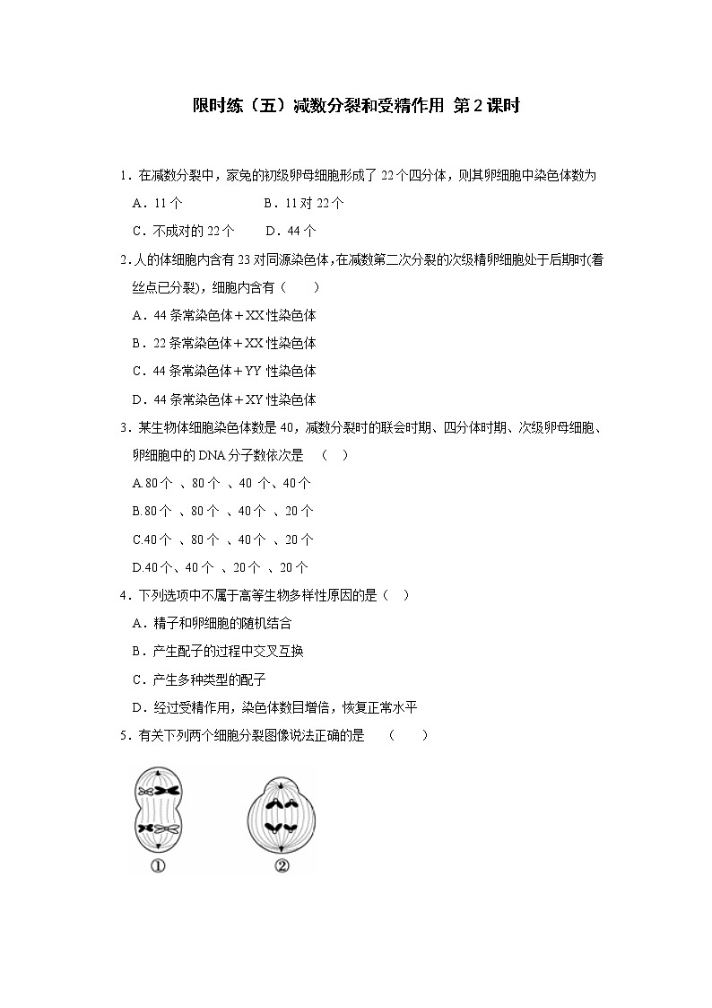 高一生物必修二课时训练：+2.1+减数分裂和受精作用+第2课时+Word版含答案01