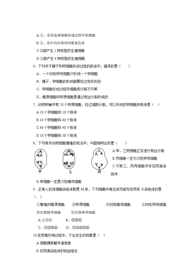 高一生物必修二课时训练：+2.1+减数分裂和受精作用+第2课时+Word版含答案02