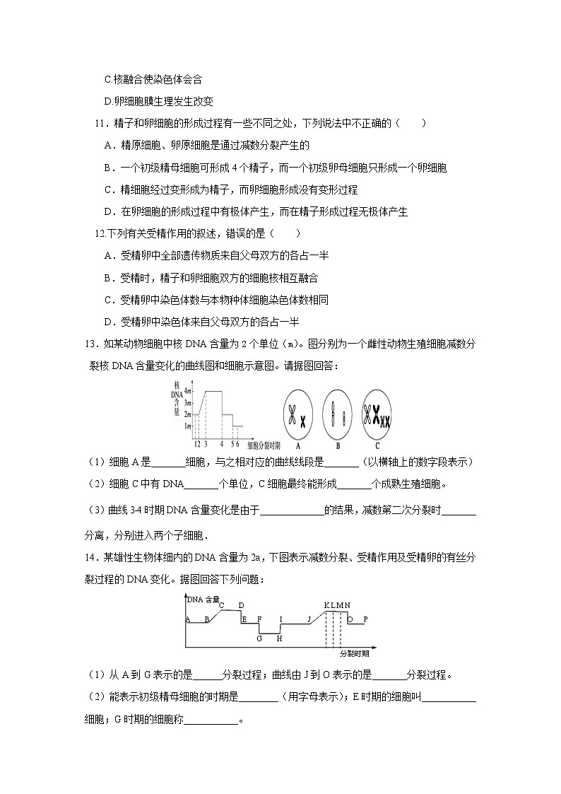 高一生物必修二课时训练：+2.1+减数分裂和受精作用+第2课时+Word版含答案03