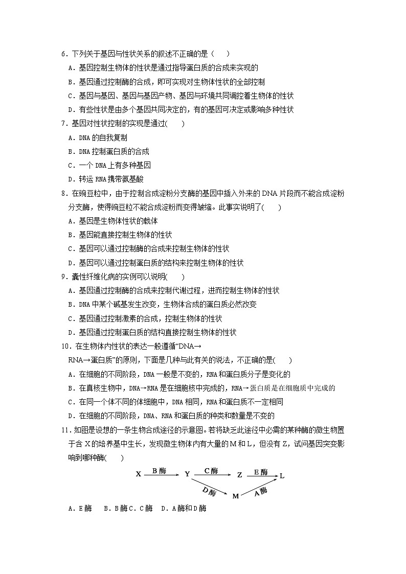 高一生物必修二课时训练：+4.2+基因对性状的控制+Word版含答案02