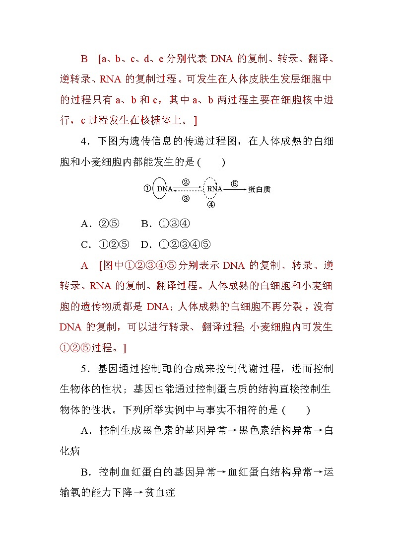 高中生物必修二第四章+第2节+基因对性状的控制+课时作业十一+Word版含答案 练习02