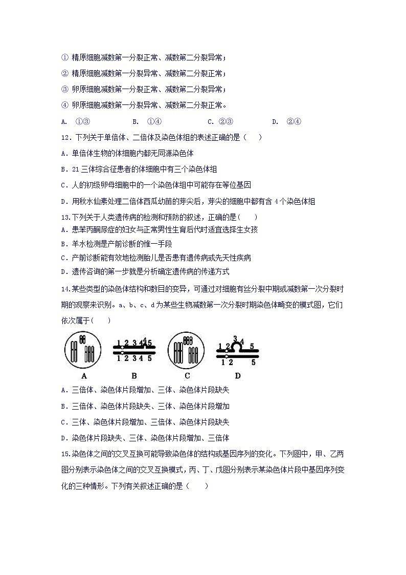 高一人教版生物必修二第五章单元检测+Word版含答案第3页