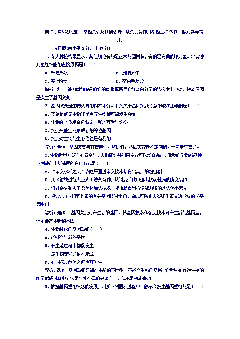 人教版高中生物必修二：阶段质量检测（四）　基因突变及其他变异　从杂交育种到基因工程（B卷）+Word版含答案01