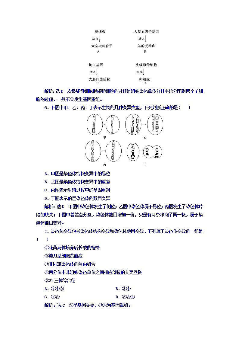人教版高中生物必修二：阶段质量检测（四）　基因突变及其他变异　从杂交育种到基因工程（B卷）+Word版含答案02