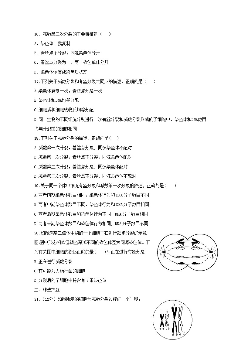 （人教版）高一生物必修二同步练习 2.1.1减数分裂 word版含答案03
