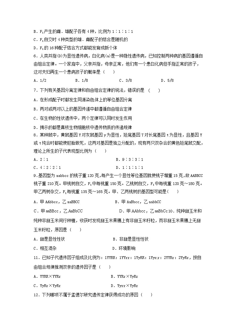 （人教版）高一生物必修二同步练习 1.2孟德尔的豌豆杂交实验一（2） word版含答案02