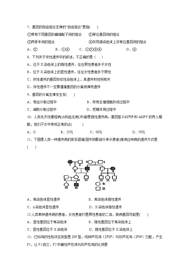 （人教版）高一生物必修二同步练习 2.2-2.3基因在染色体上及伴性遗传 word版含答案02