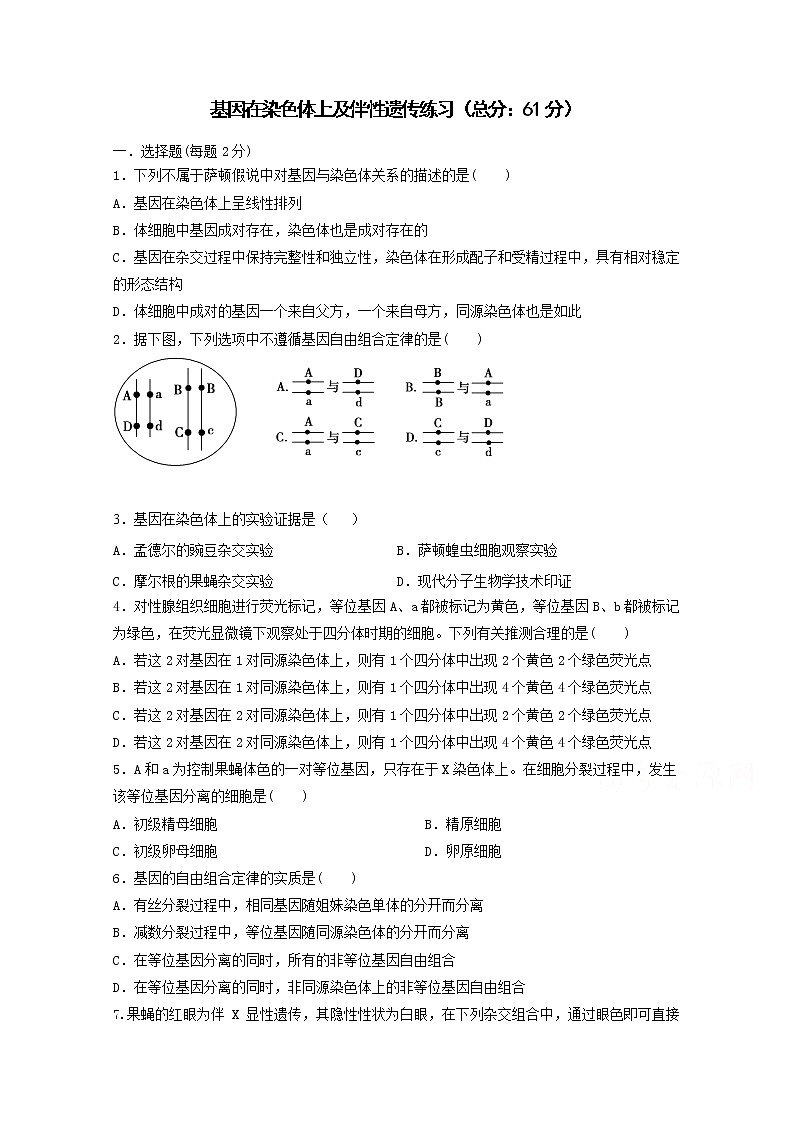 （人教版）高一生物必修二同步练习 2.2-2.3基因在染色体上及伴性遗传 （2） word版含答案01