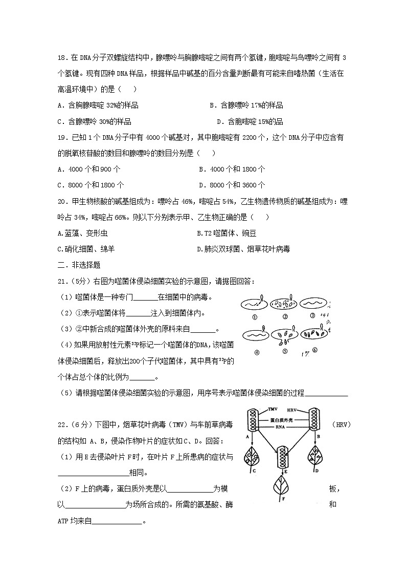 （人教版）高一生物必修二同步练习 3.2dna的分子结构 word版含答案03