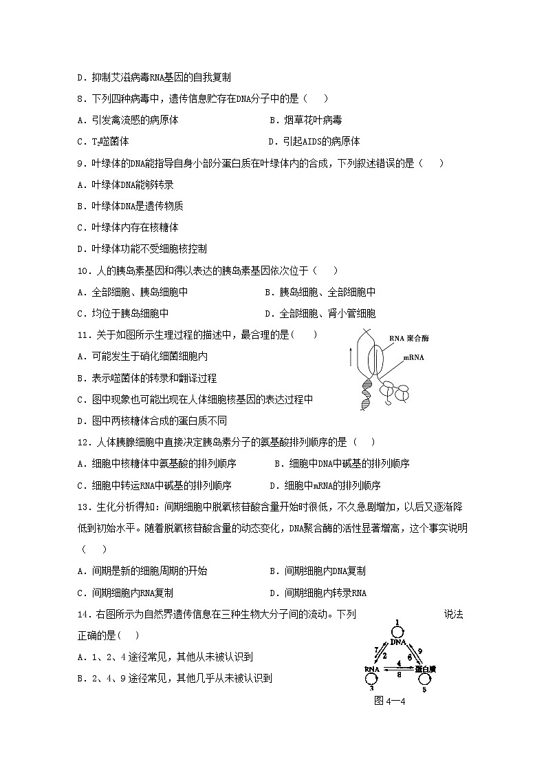 （人教版）高一生物必修二同步练习 4.2基因对性状的控制 word版含答案第2页