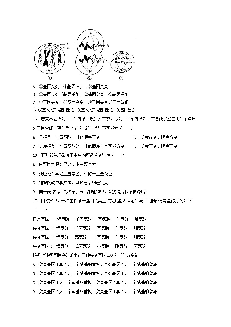 （人教版）高一生物必修二同步练习 5.1基因突变和基因重组 word版含答案第3页