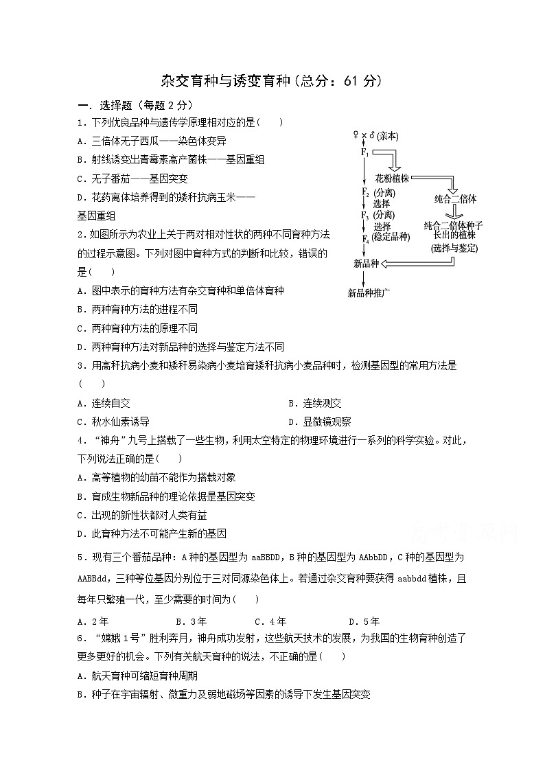 （人教版）高一生物必修二同步练习 6.1杂交育种与诱变育种 word版含答案第1页