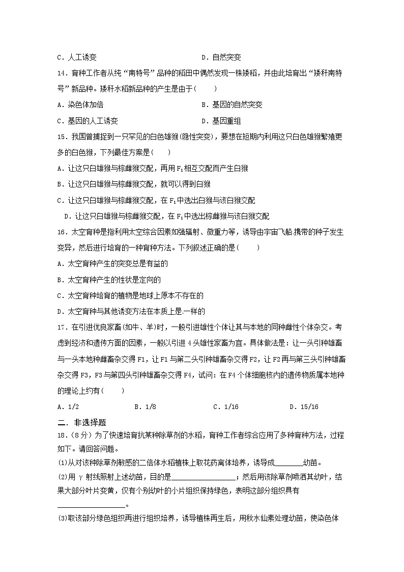 （人教版）高一生物必修二同步练习 6.1杂交育种与诱变育种 word版含答案第3页