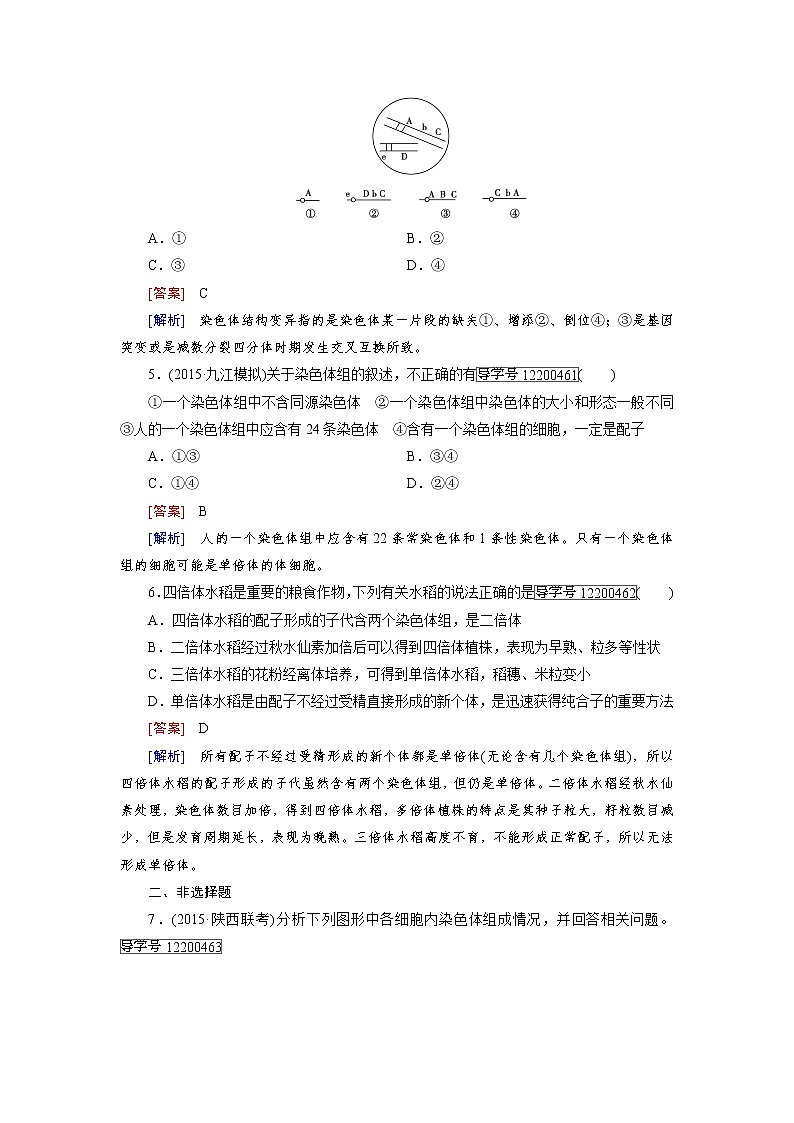 高一生物人教版必修2练习：第5章 第2节 染色体变异 word版含解析02