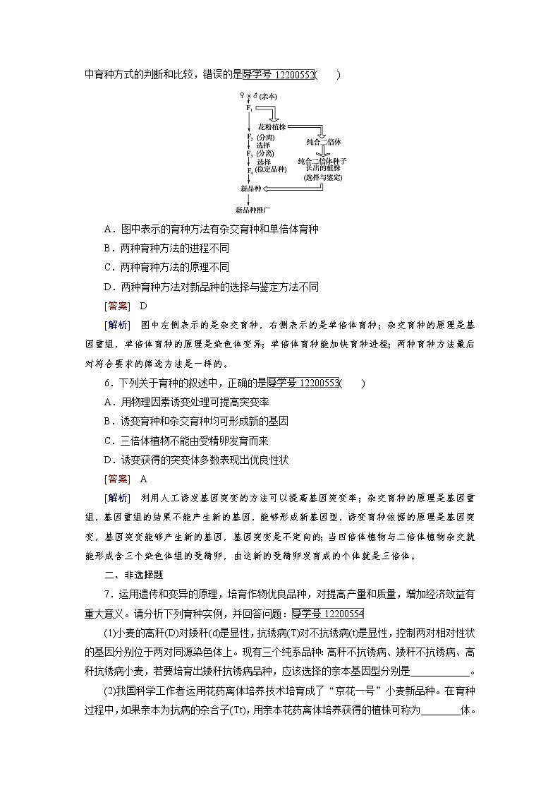 高一生物人教版必修2练习：第6章 第1节 杂交育种与诱变育种 word版含解析02