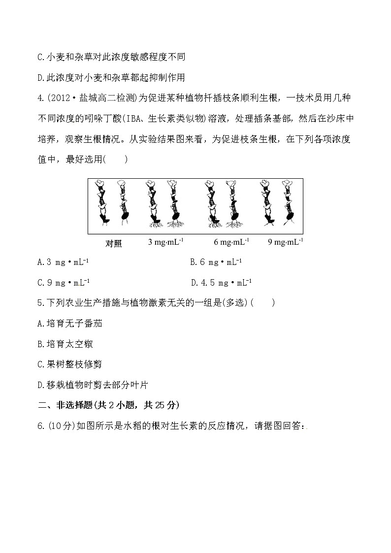 新人教版高中生物必修三课时提能演练(八) 3.2第2页