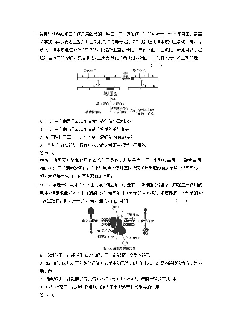 39高考生物二轮专题复习：题型七新情景信息类解题模板练39第2页