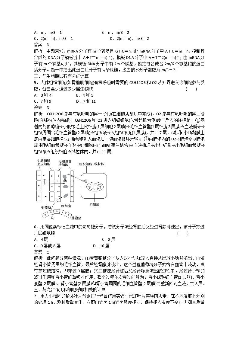38高考生物二轮专题复习：题型六数据计算类解题模板练38第2页
