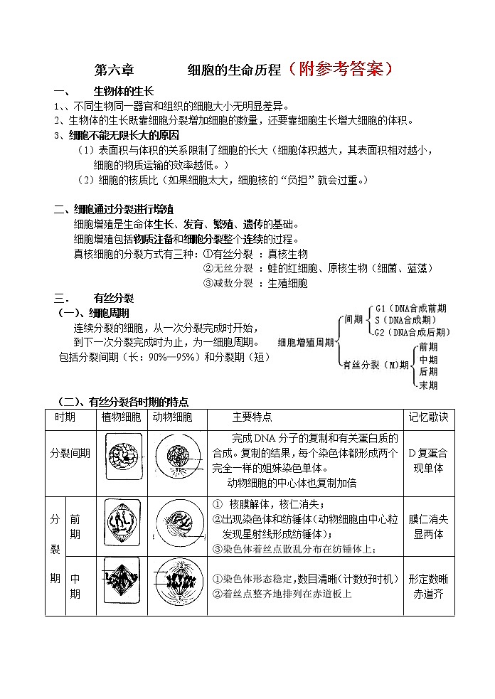 62高考生物一轮复习——细胞的生命历程专题62第1页