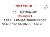 生物PPT课件必修3选修1选修1.4