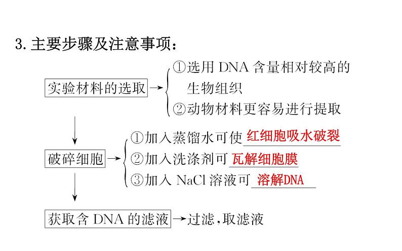 生物PPT课件必修3选修1选修1.4第5页