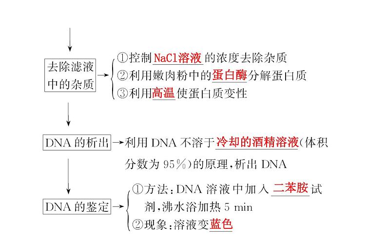 生物PPT课件必修3选修1选修1.4第6页