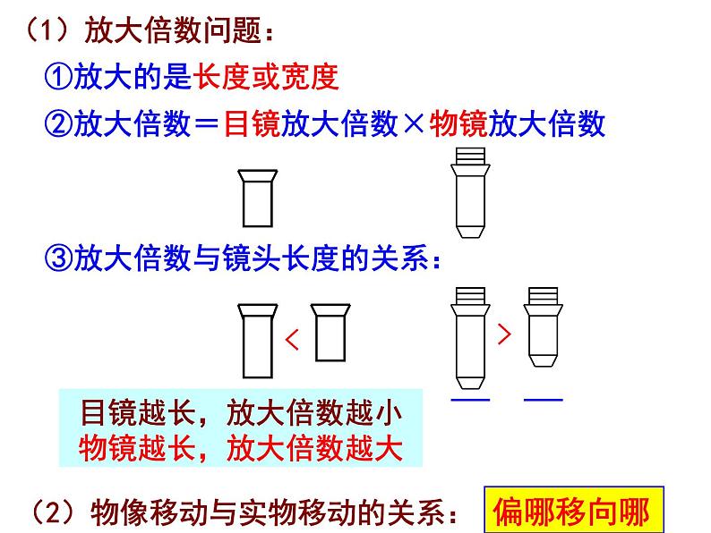 高考生物总复习课件(必修1-3)第6页