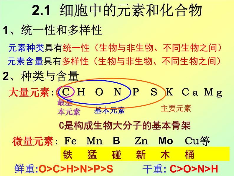 高考生物总复习课件(必修1-3)第7页