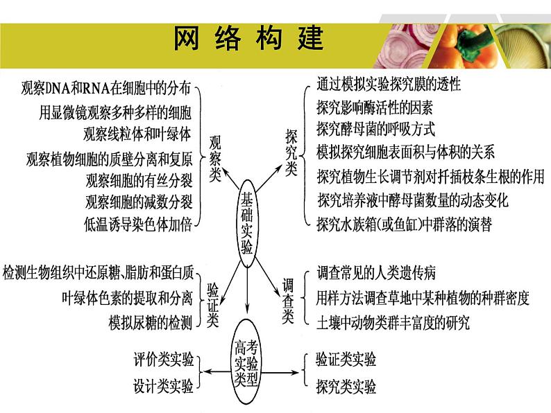 高考生物教材实验专题复习第2页