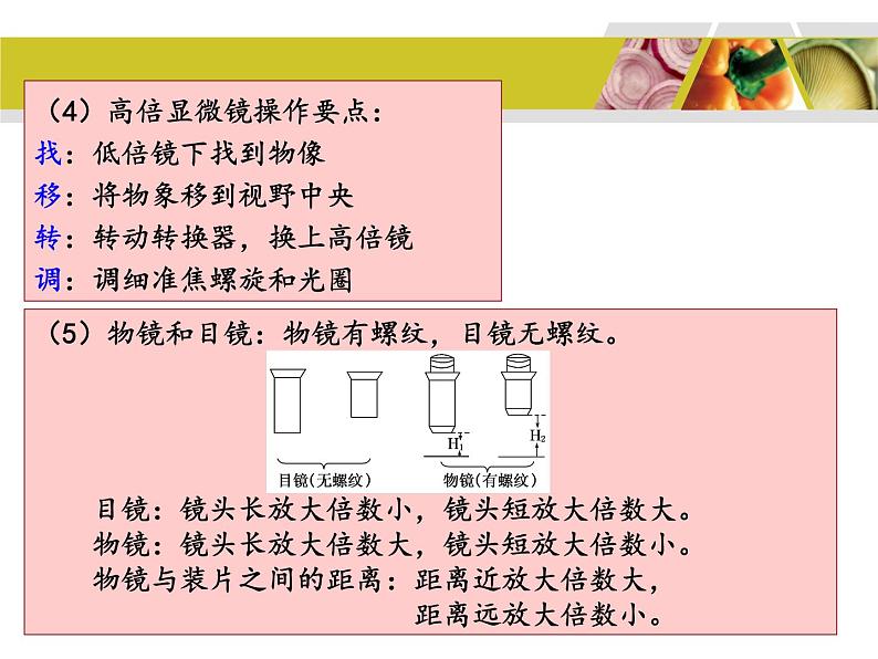 高考生物教材实验专题复习第4页