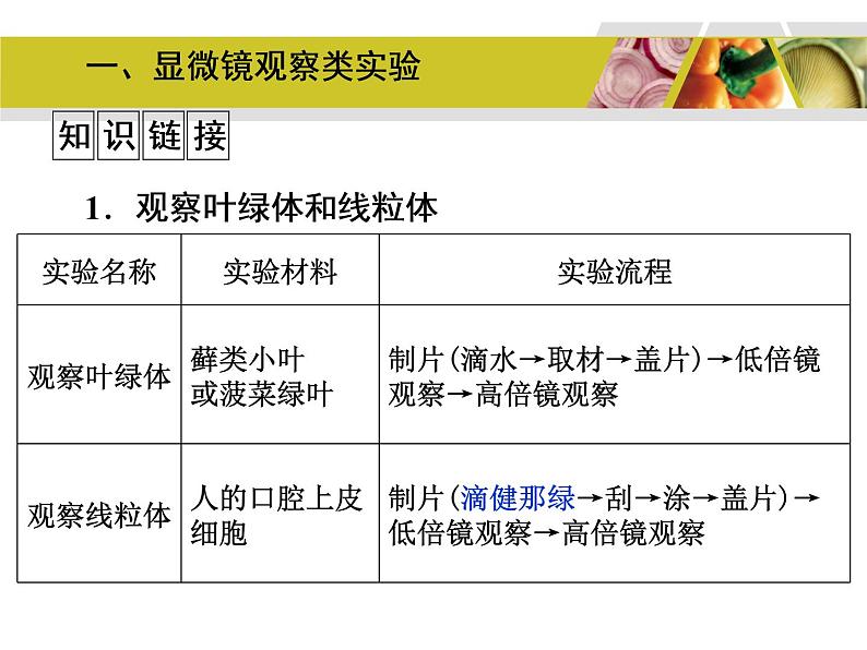 高考生物教材实验专题复习第5页