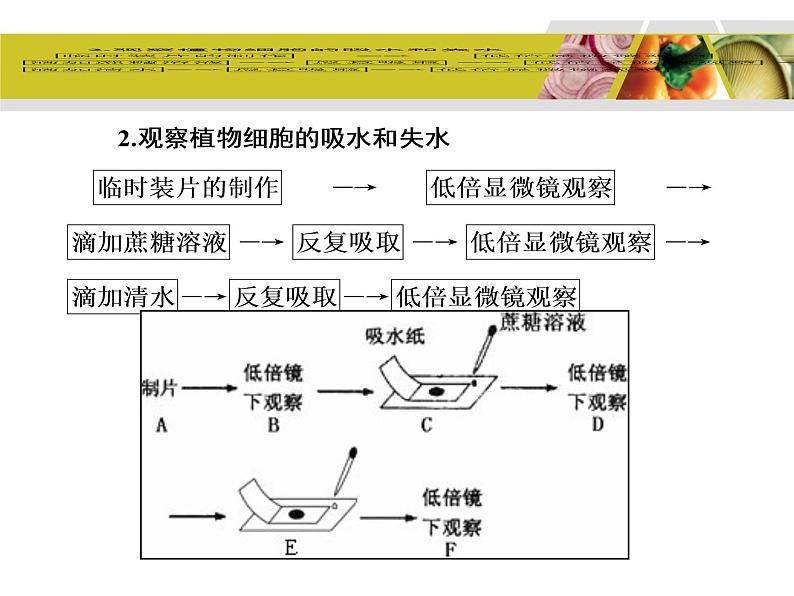 高考生物教材实验专题复习第8页