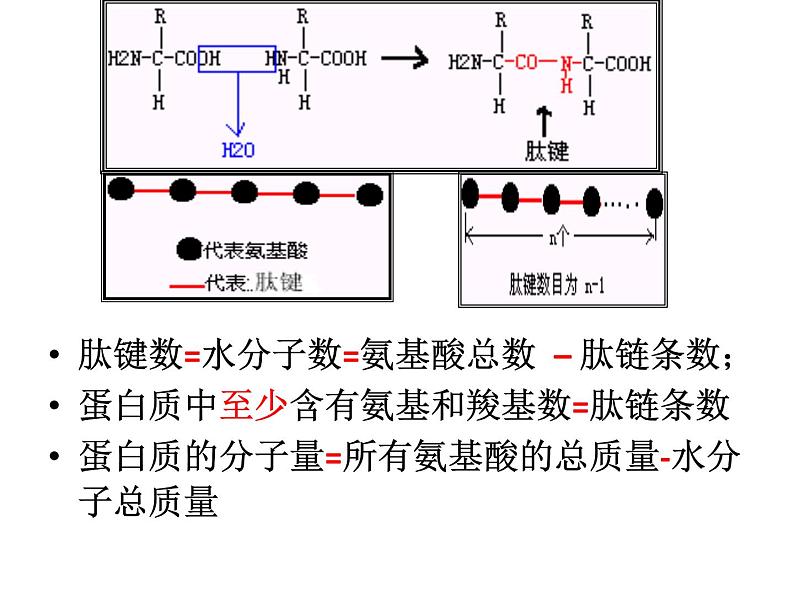 高考生物总复习全面图解-PPt.pptx第4页