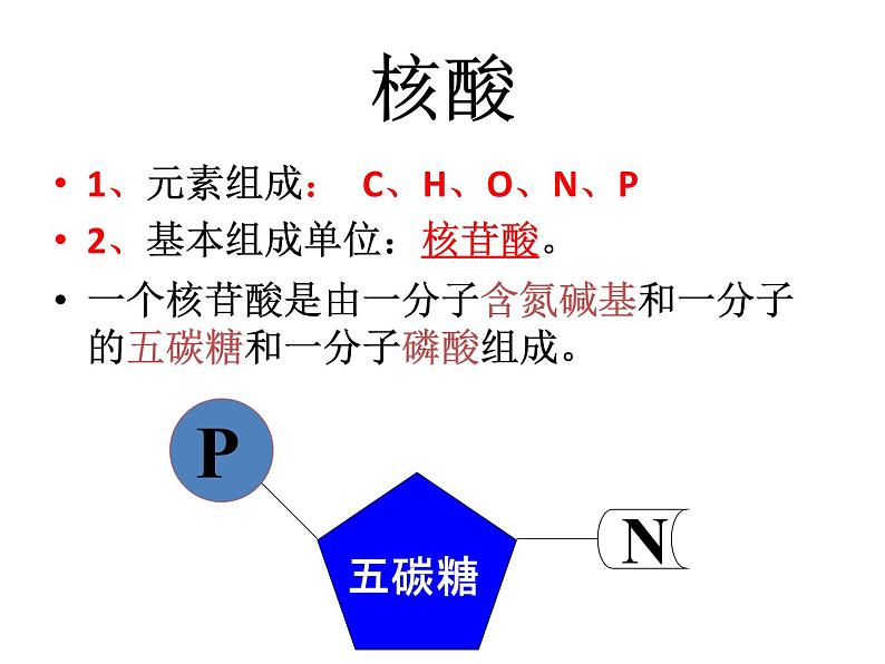 高考生物总复习全面图解-PPt.pptx第8页