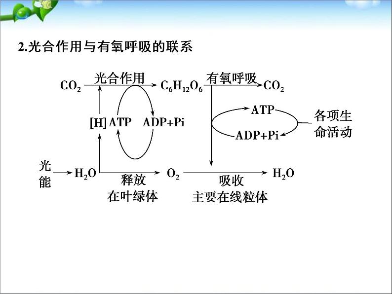 高考生物一轮复习_考点加强课1_光合作用的影响因素及其应用课件_新人教版第3页