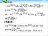高考生物一轮复习_考点加强课1_光合作用的影响因素及其应用课件_新人教版