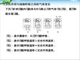 高考生物一轮复习_考点加强课1_光合作用的影响因素及其应用课件_新人教版