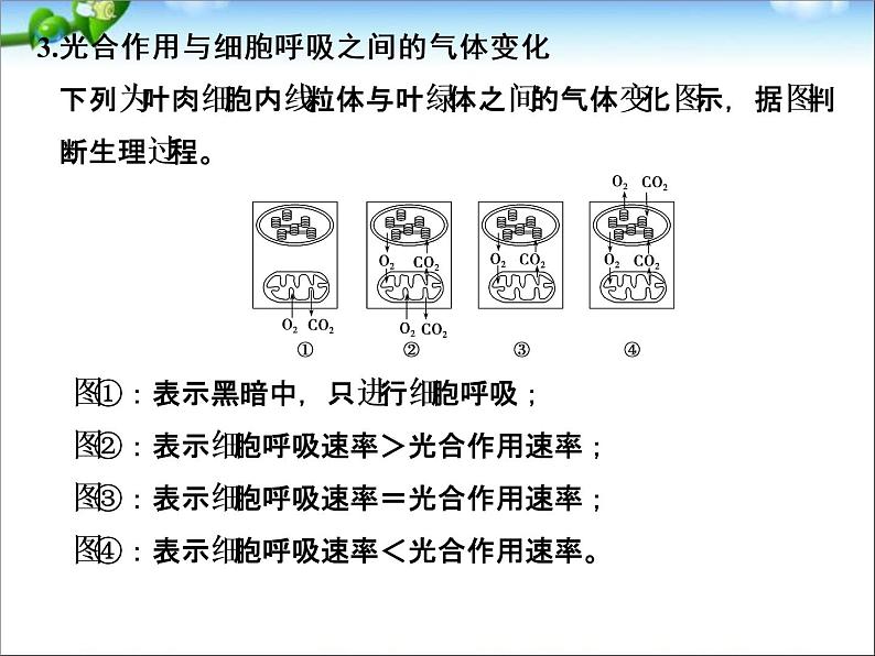 高考生物一轮复习_考点加强课1_光合作用的影响因素及其应用课件_新人教版第5页