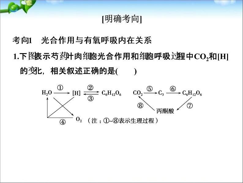 高考生物一轮复习_考点加强课1_光合作用的影响因素及其应用课件_新人教版第6页