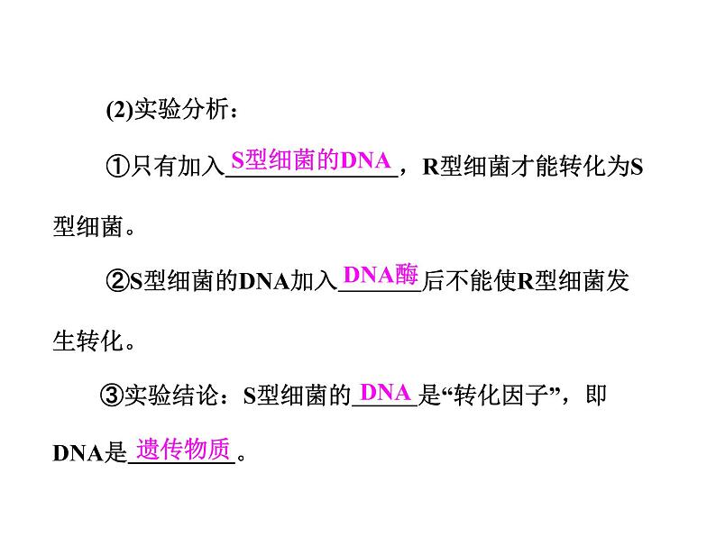 高考生物一轮复习课件：第9章_基因的本质08