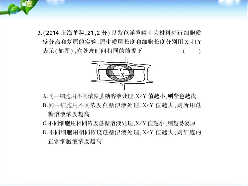 高考生物一轮复习课件：专题3_物质出入细胞的方式第6页